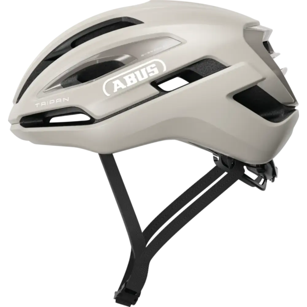 CASCO BUS